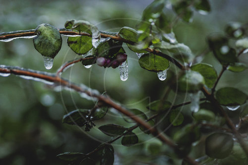 Eisglaette in Berlin