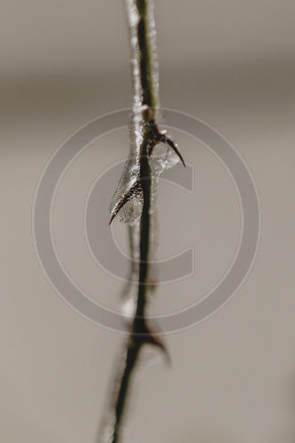 Eisglaette in Berlin