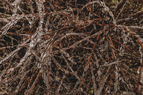 Eisglaette in Berlin