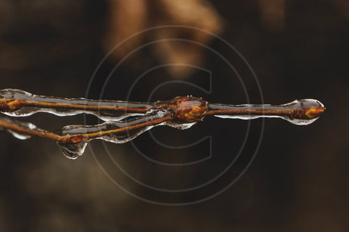 Eisglaette in Berlin