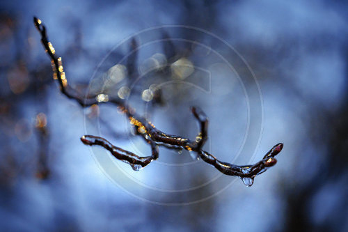 Blitzeis und gefrierender Regen
