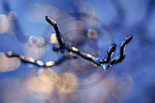 Blitzeis und gefrierender Regen