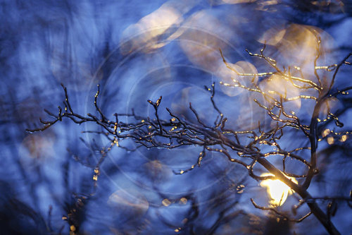 Blitzeis und gefrierender Regen