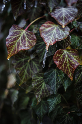 Winterwetter in Berlin