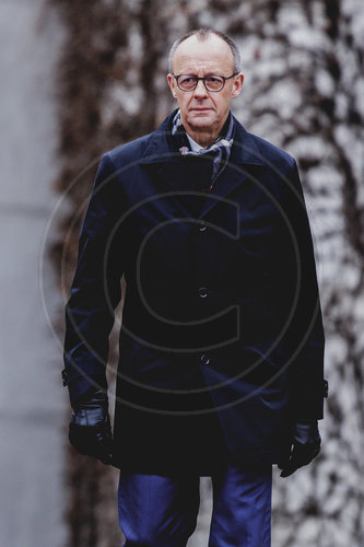 Friedrich Merz trifft litauische Ministerpraesidentin Inga Ruginiene