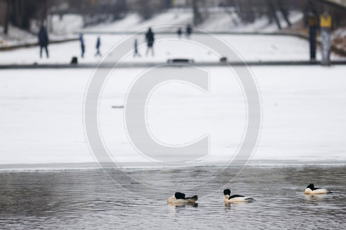 Menschen auf dem Eis