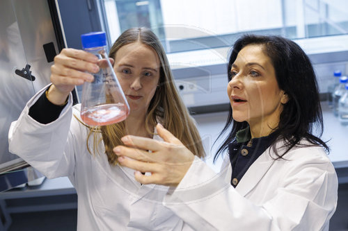 BM Reiche besucht in Muenchen die Tubulis GmbH