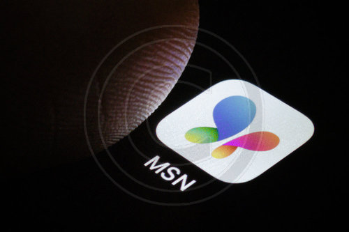 MSN Logo