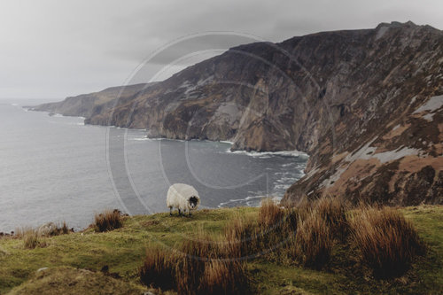 Slieve League