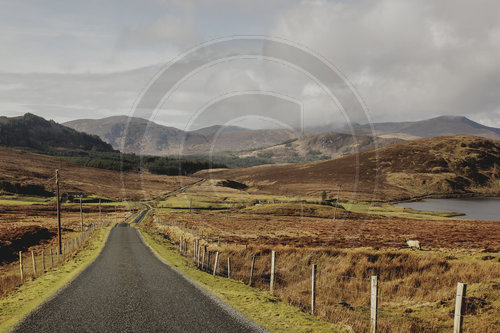 Wild Nephin Nationalpark