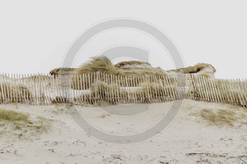 Strandduenen