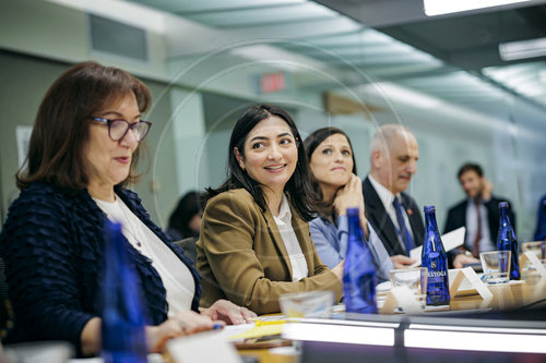 BMin Alabali Radovan in Washington