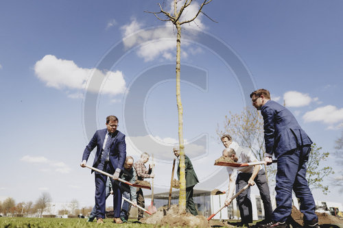 Baumpflanzaktion von Ecosia