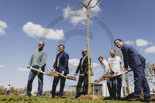 Baumpflanzaktion von Ecosia