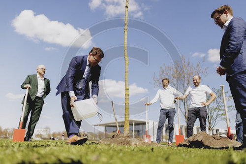 Baumpflanzaktion von Ecosia
