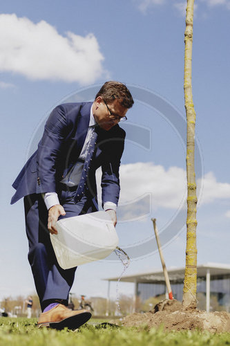 Baumpflanzaktion von Ecosia