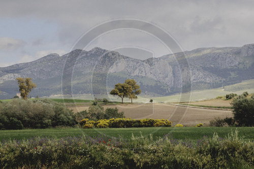 Landschaft Andalusien