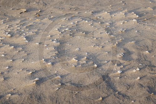 Sonnenaufang am Strand von Prerow