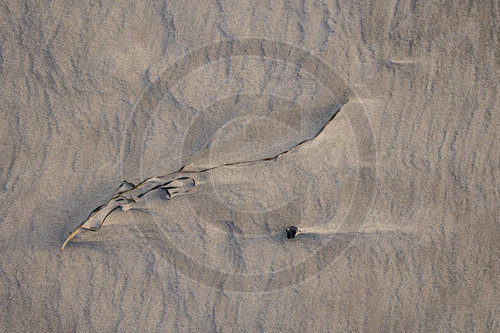 Sonnenaufang am Strand von Prerow