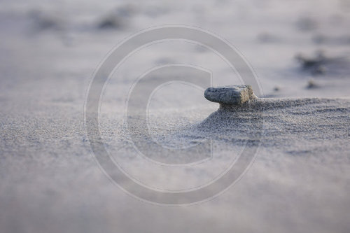 Sonnenaufang am Strand von Prerow