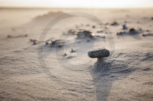 Sonnenaufang am Strand von Prerow
