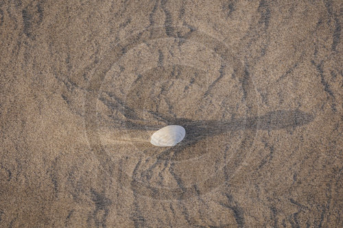 Sonnenaufang am Strand von Prerow