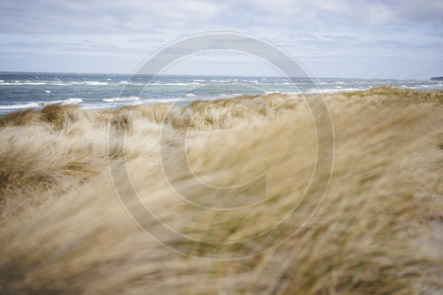 Strand bei Ahrenshoop