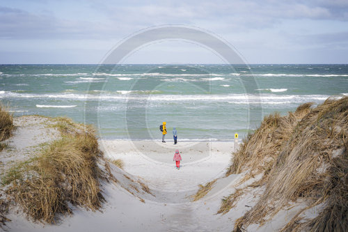 Strand bei Ahrenshoop