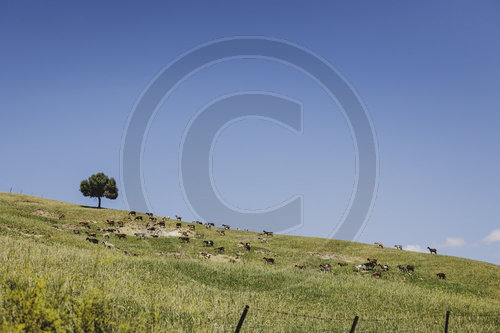 Andalusien